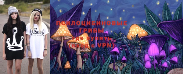 мяу мяу кристалл Корсаков