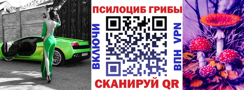 Купить закладки  Карасук  Псилоцибиновые грибы MAGIC MUSHROOMS 